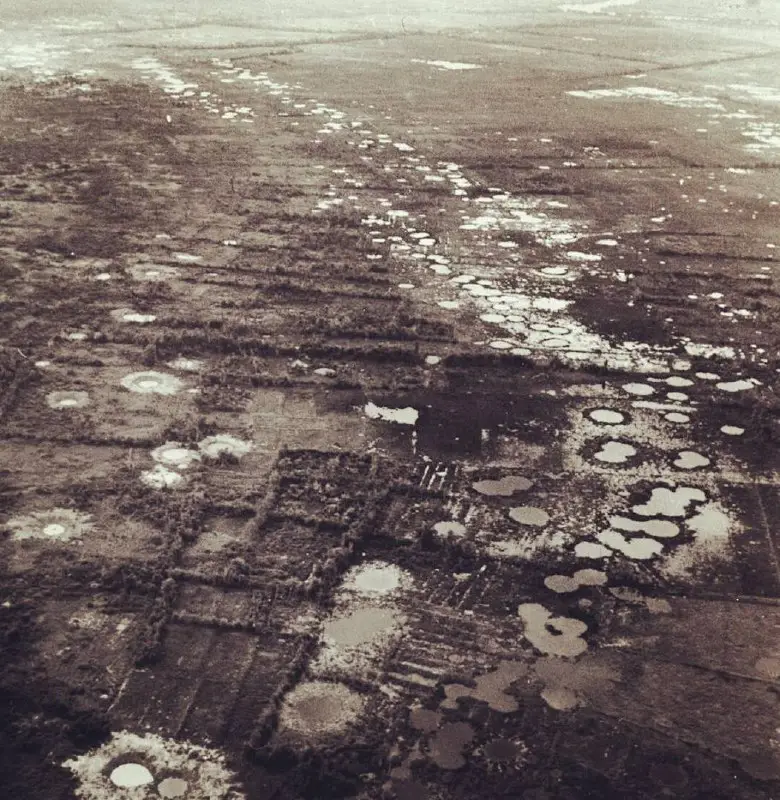 Vietnam's fields after the carpet bombing, …