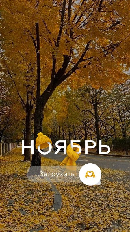 Замечательного вам ноября!***🤗******🧡***