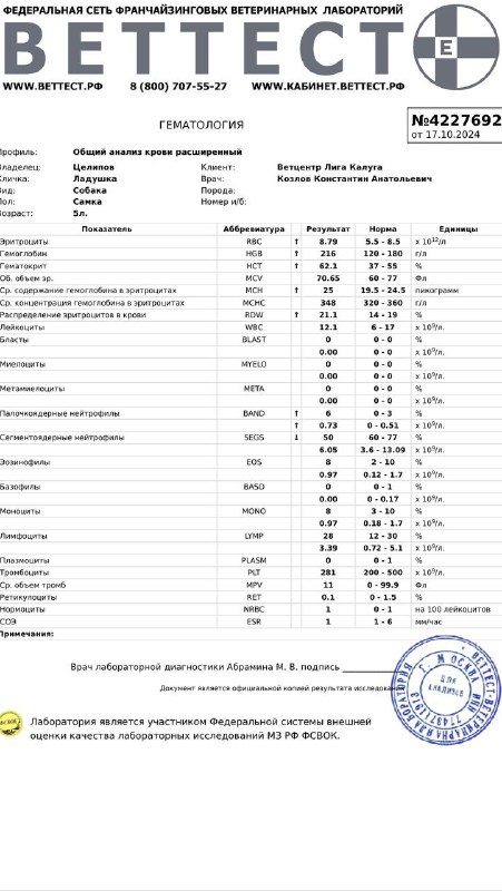 БФ «100 хвостов» г. Калуга