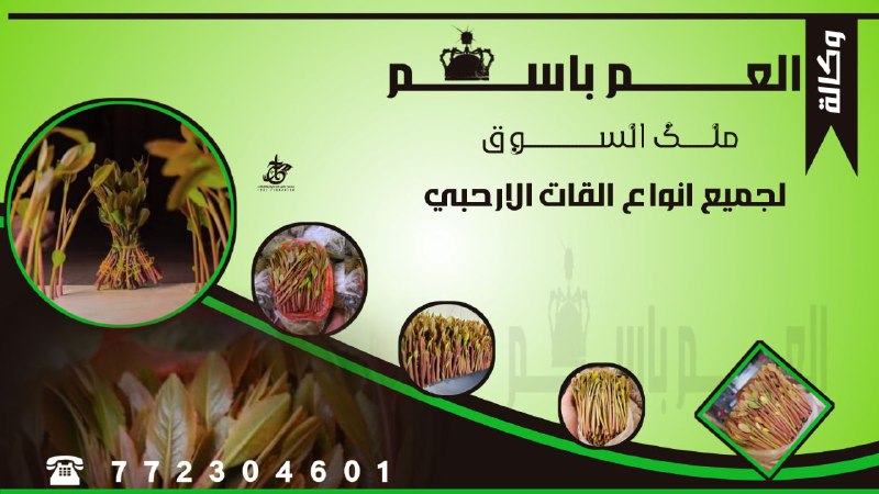 تصميم لوحة قات حسب الطلب