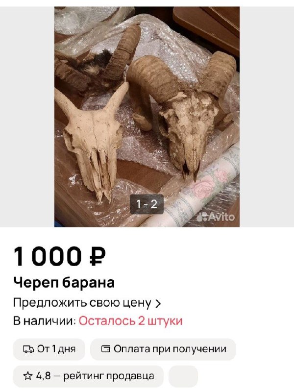 — Что тебе подарить?