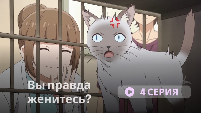 **Вы правда женитесь? - 4 серия**