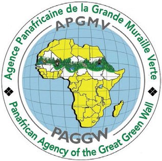 [TIL](https://en.m.wikipedia.org/wiki/Great_Green_Wall_(Africa))