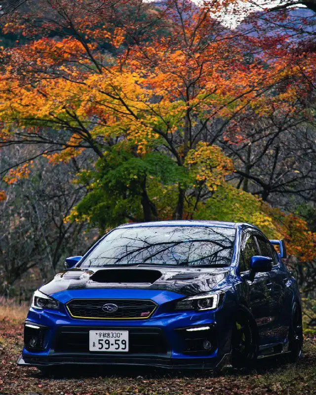 [Клуб любителей Subaru](https://t.me/suba_rist)