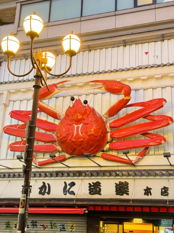 素材大全🍁