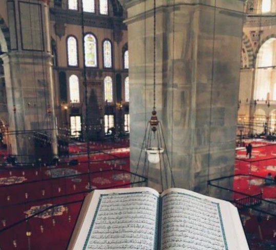 **من أفلح في القرآن لا يهمّه …