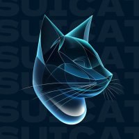 [SUI CAT](https://x.com/SUICATONSUI) Airdrop Announcement ***📣***