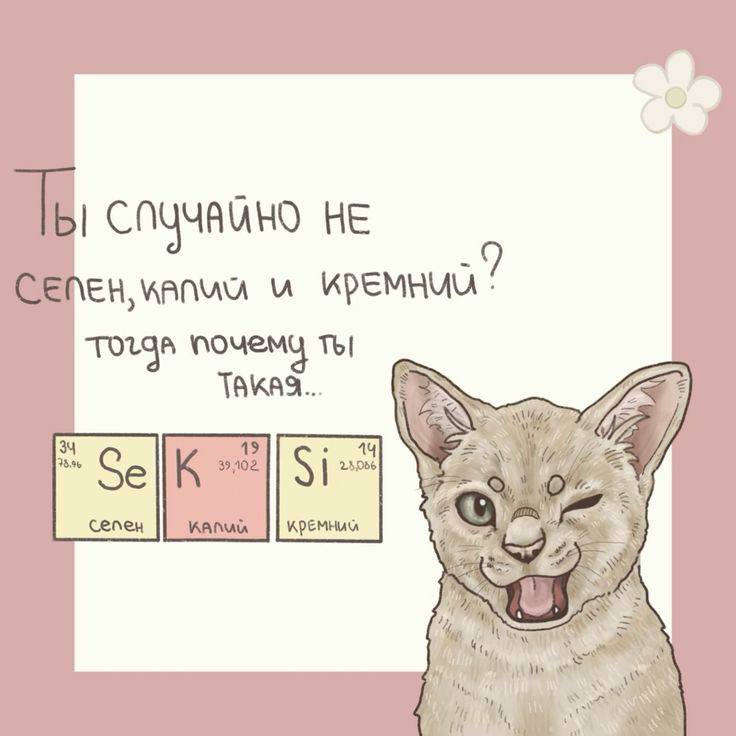 С Днём Святого Валентина***🤍***