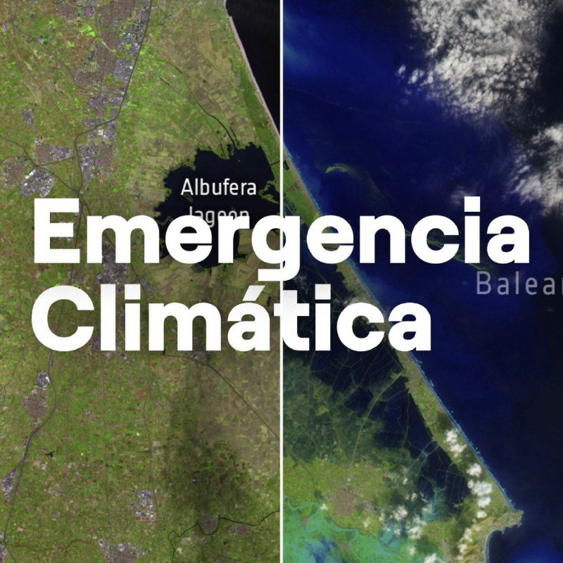 **Luchar contra el cambio climático salva …