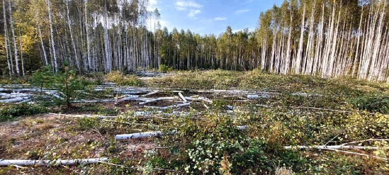 Завтра, в воскресенье, 15 сентября, в …