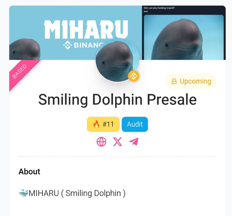 ***🐋***[**#MIHARU**](?q=%23MIHARU) **BSC（微笑海豚）*****🐬***