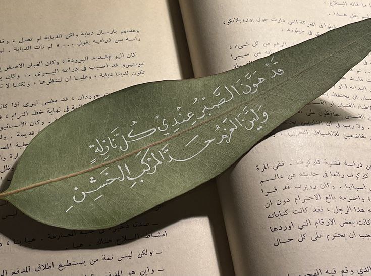 قَد هَوَّنَ الصَبرُ عِندي كُلَّ نازِلَةٍ