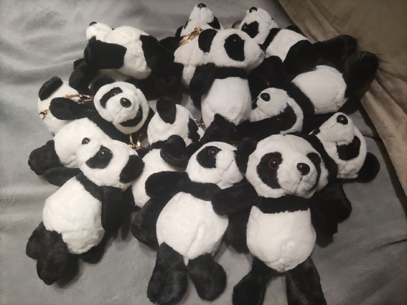 Внимание 🐼 рядом