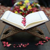 ***✅***بوت القرآن الكريم***?***