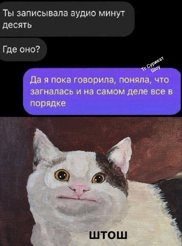 Мы?