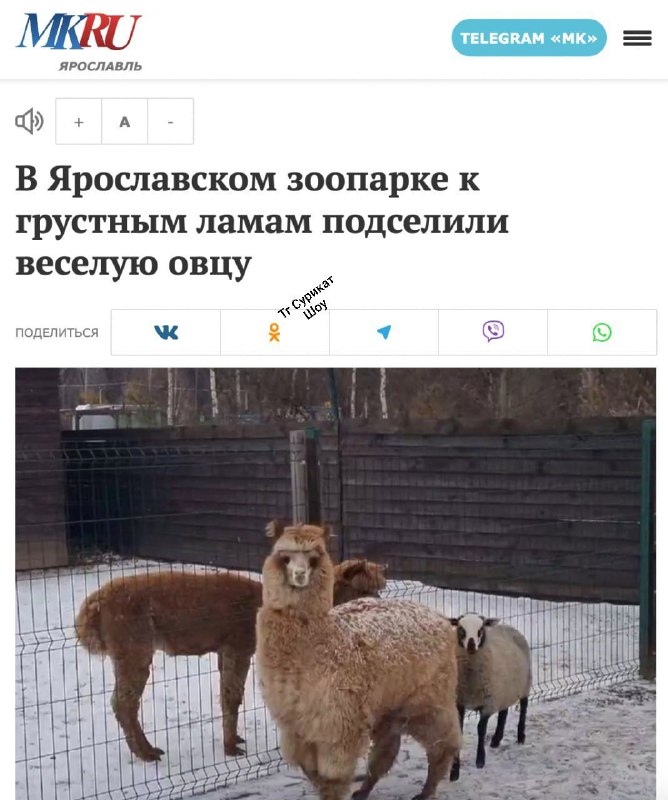 Каждый раз, когда меня добавляют в …