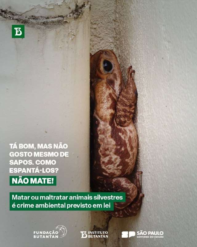 Sustentabilidade