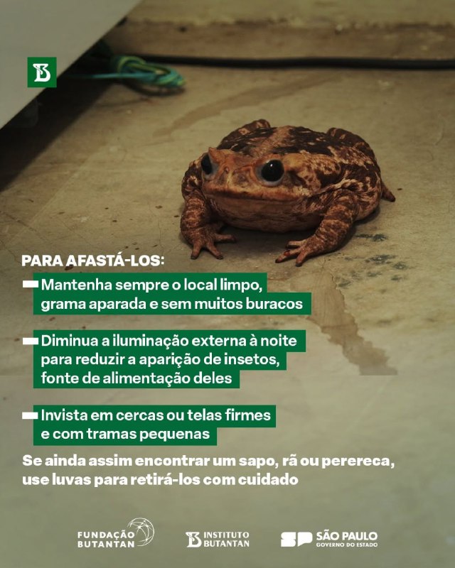 Sustentabilidade