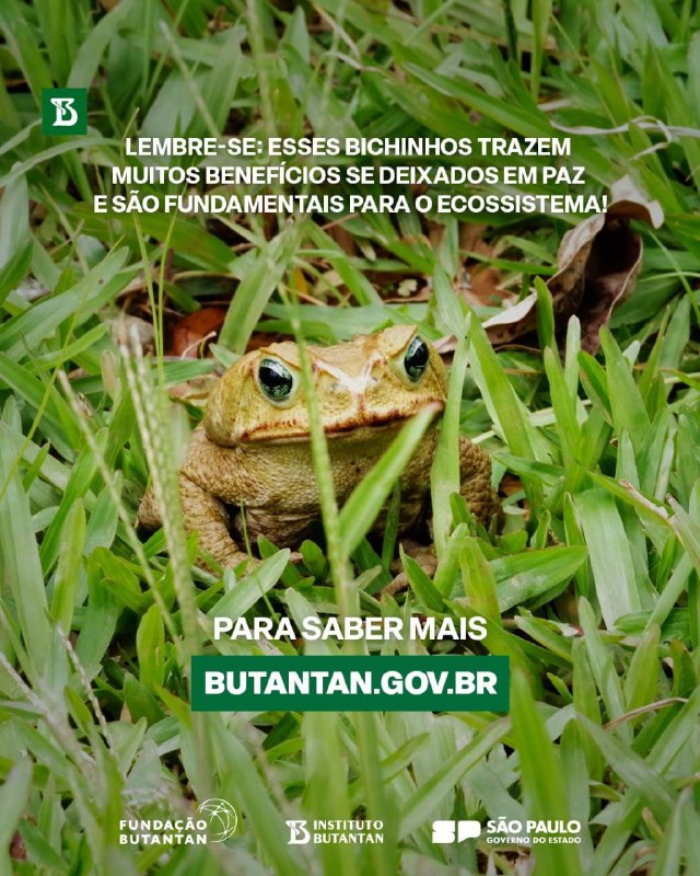 Sustentabilidade