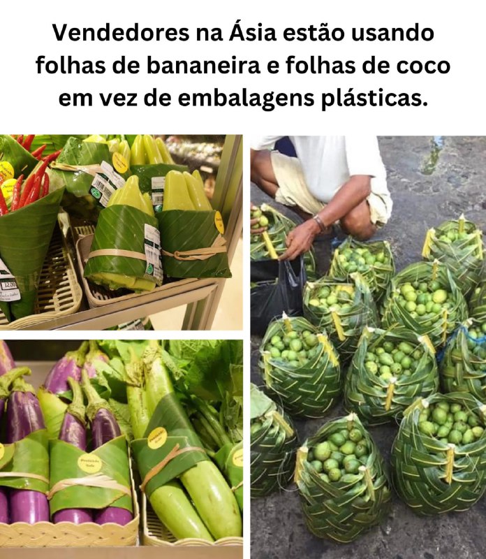 Sustentabilidade