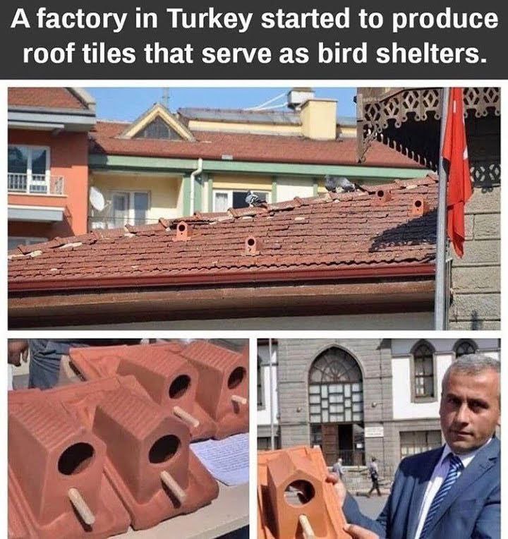 Sustentabilidade