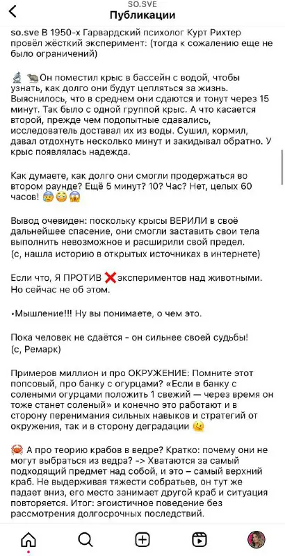 🎯ИНСАЙТЫ | SO.SVE