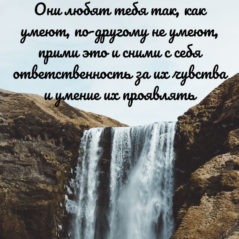 «Свобода одного человека заканчивается там, где …