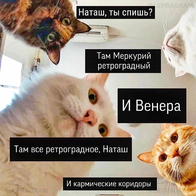 ⠀***⚠️*** **Ретроградный Меркурий уже на подходе: …