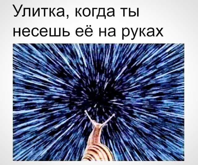 наworldник ?