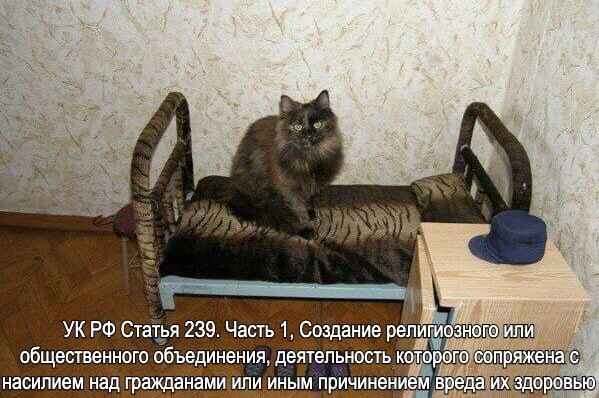 наworldник ?