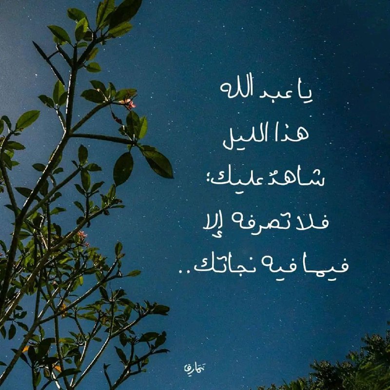 تصبحوا على خير وأمان وأمان وأمان …