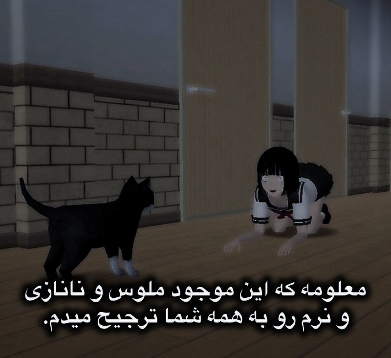 ⋆
