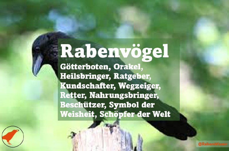 *****🔸***Ein neues Projekt auf Telegram*****🔸***