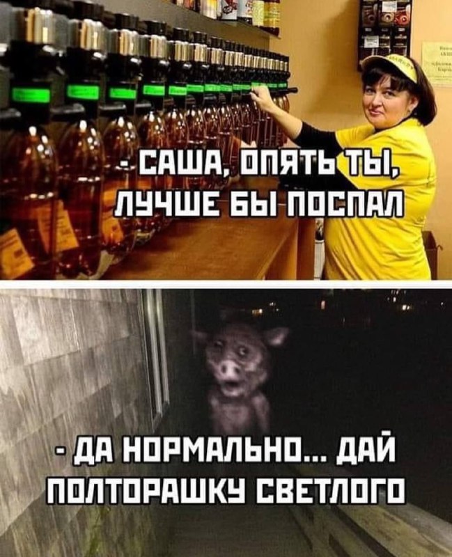 [**СИНИЙ РЕЙС**](https://t.me/synii_reis)***✈️******🍺***