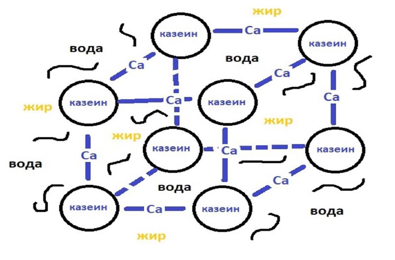 2 стадия: Флокуляция – мицеллы казеина …