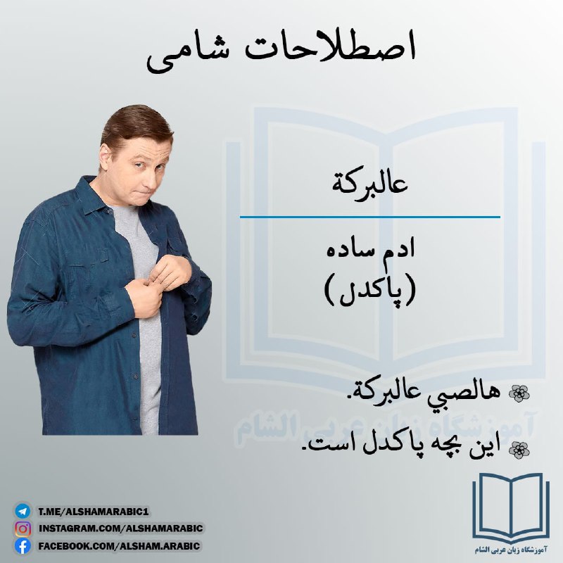**اصطلاحات شامی