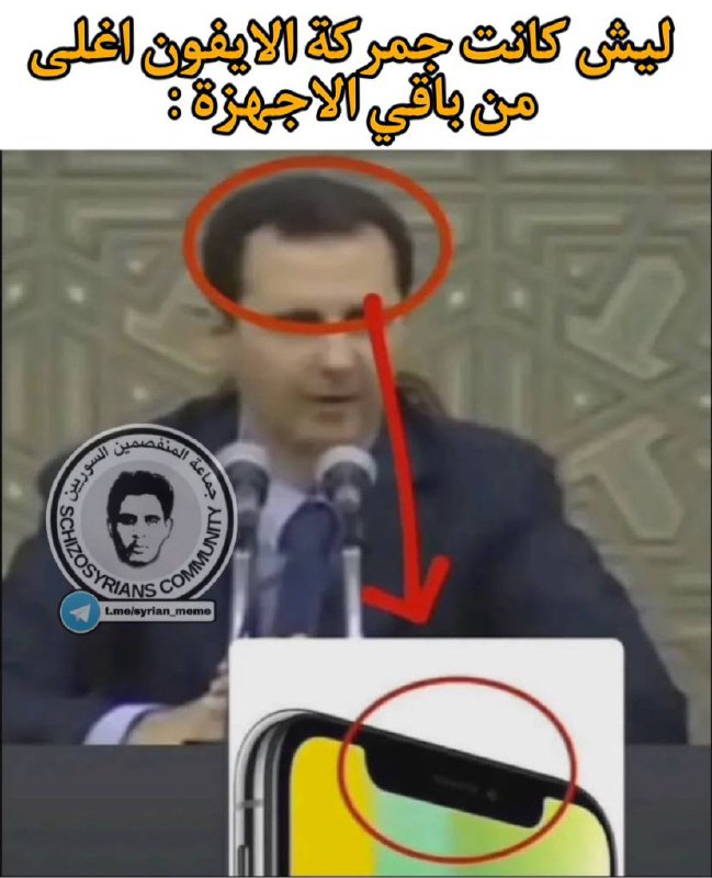 SCHIZOSYRIANS