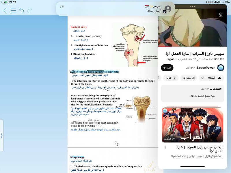 يا الله يا معين ساعد زنوبة …