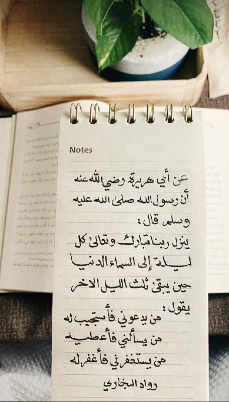 رُفقـــــــاء🖇