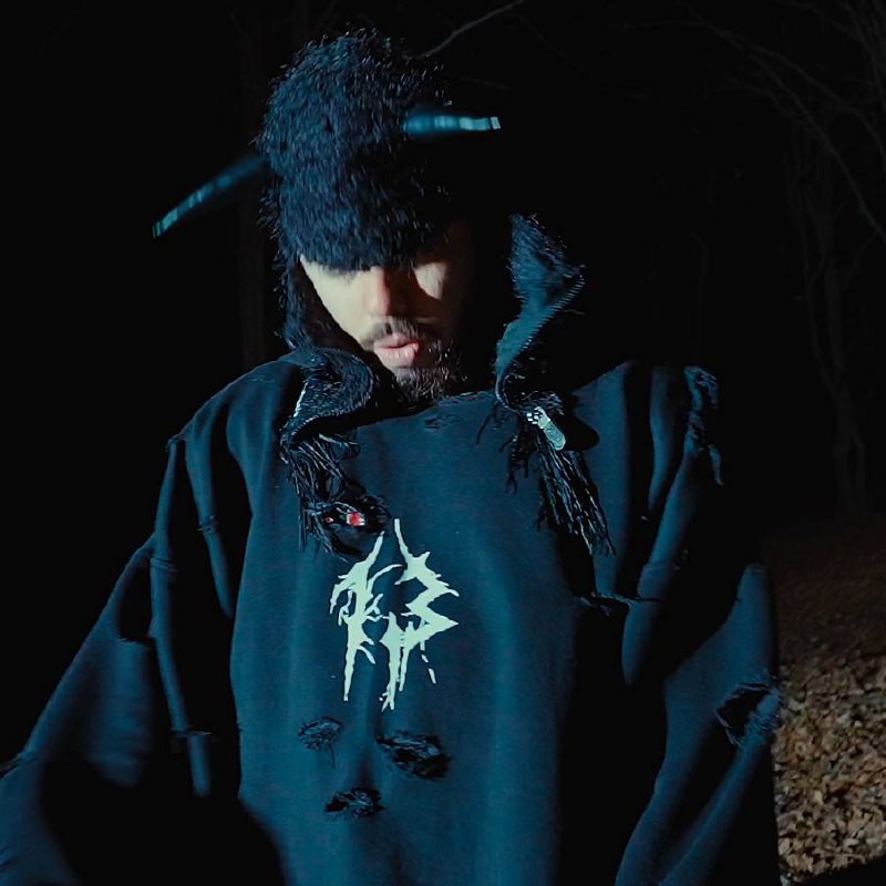 " 13 Hoodie "