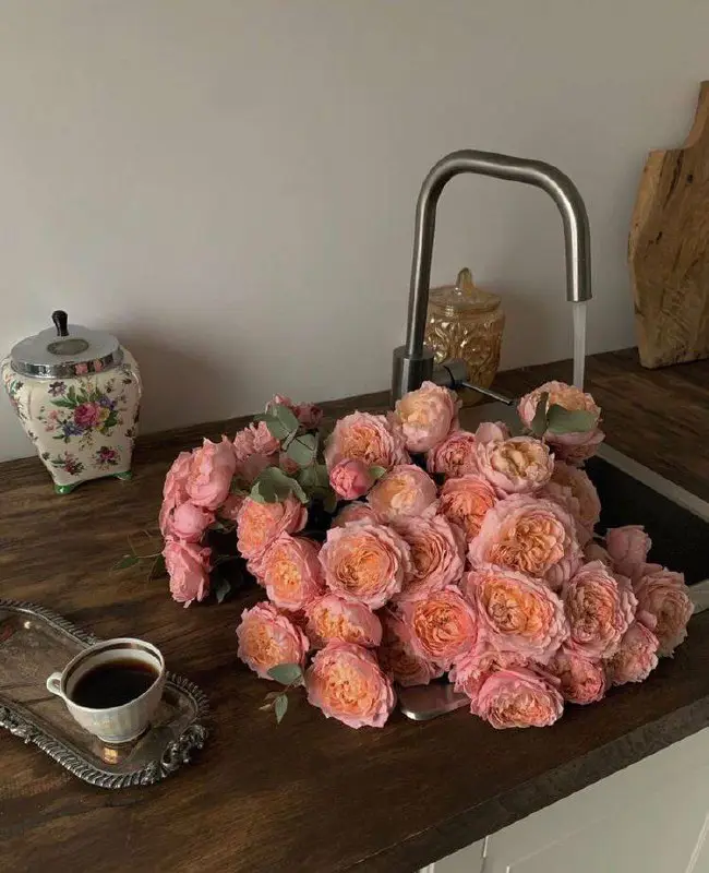 خِفّه .