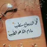 الحياة مدرسة كبيرة، وكل خطوة فيها …