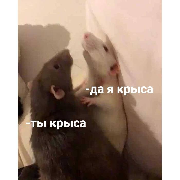 Тоха и Вэл за завтраком