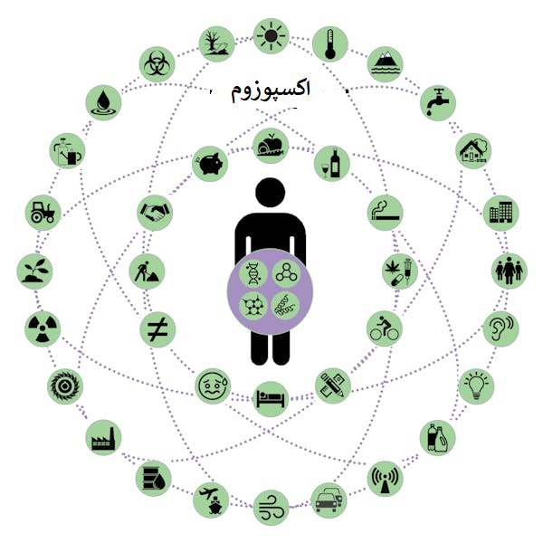 [.](https://tabriz-emrooz.ir/image1.php?t=1738656821&amp;Id=10460)