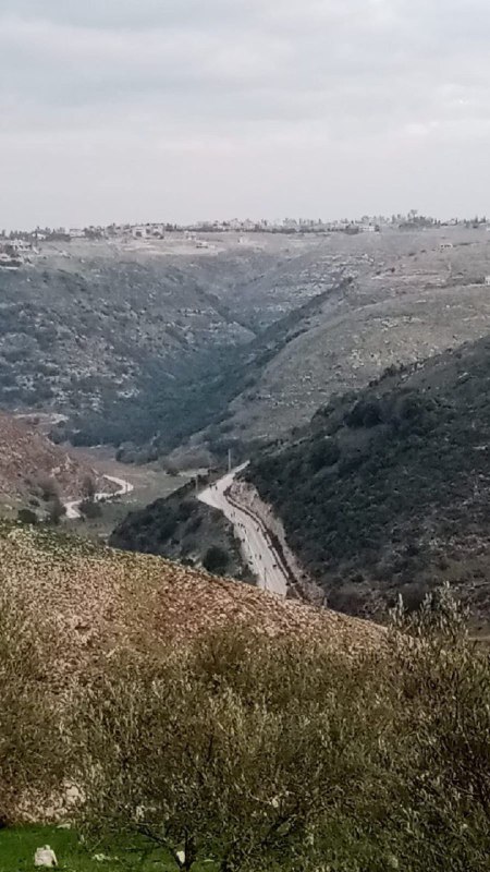 ***💢***شیعیان جنوب لبنان در گروه‌های پیاده …