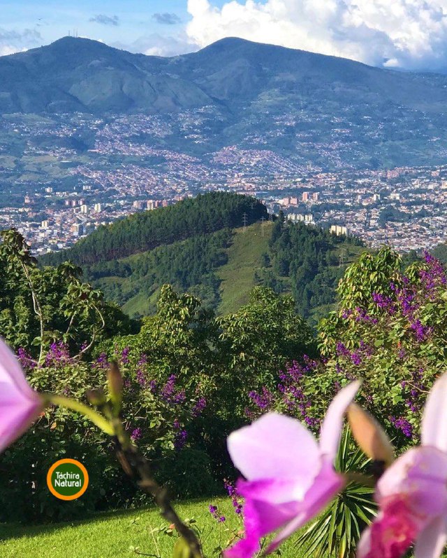 Táchira Natural