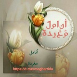 ***?***قال رسول الله ﷺ