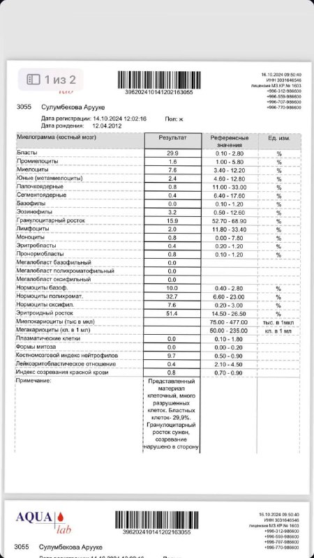taffakur.kg