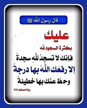 أفئدة تنبض في حب الله
