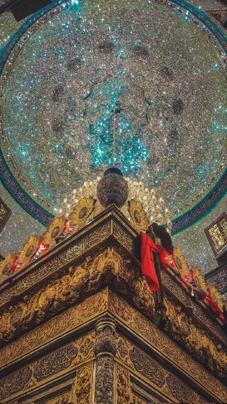 گمشدگان را سفری باید